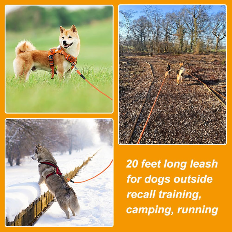 Vivifying Floating Long Dog Leash, 20FT Dog Training Leash, Lightweight Dog Check Cord Rope Leash with Comfortable Handle for Outside, Hiking, Swimming, Beach and Lake Orange - BeesActive Australia