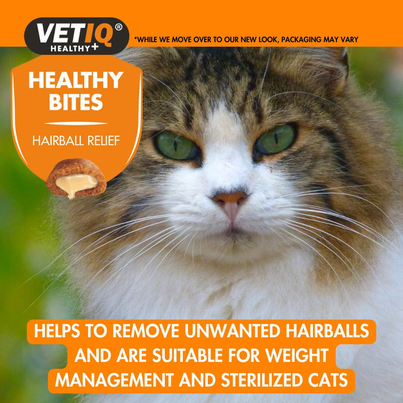 VETIQ Cat & Kitten Wellness Pack – Hairball & Nutrition support, Hairball Relief Bites & Nutri-Vit Plus Paste – High-Calorie Vitamin Supplement & Hairball Treats – Premium Cat Care Gift Set Cat Gift Set