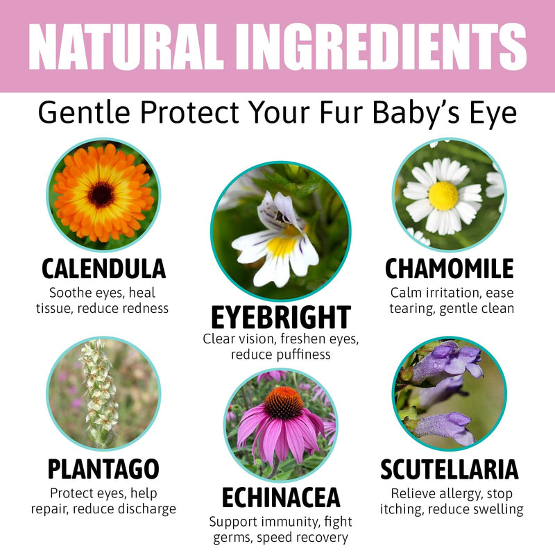 Cat Eye Conjunctivitis Eye Treatment for Cats, Dogs, Livestock and Horses, Pink Eye Solution Safe and Soothing Cat Dog Eye for Infection, Powder Formula, 100g
