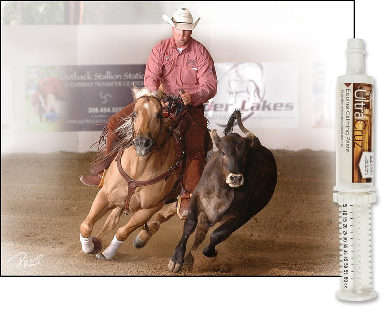 UltraCruz Equine Calming Supplement for Horses, 60 ml, Paste - BeesActive Australia