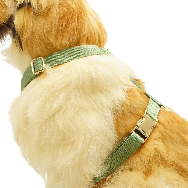 Nylon No Pull Dog Harness with Gold Metal Buckles,Easy Walking and Training Dog Harness (Sage Green, L) Sage green - BeesActive Australia