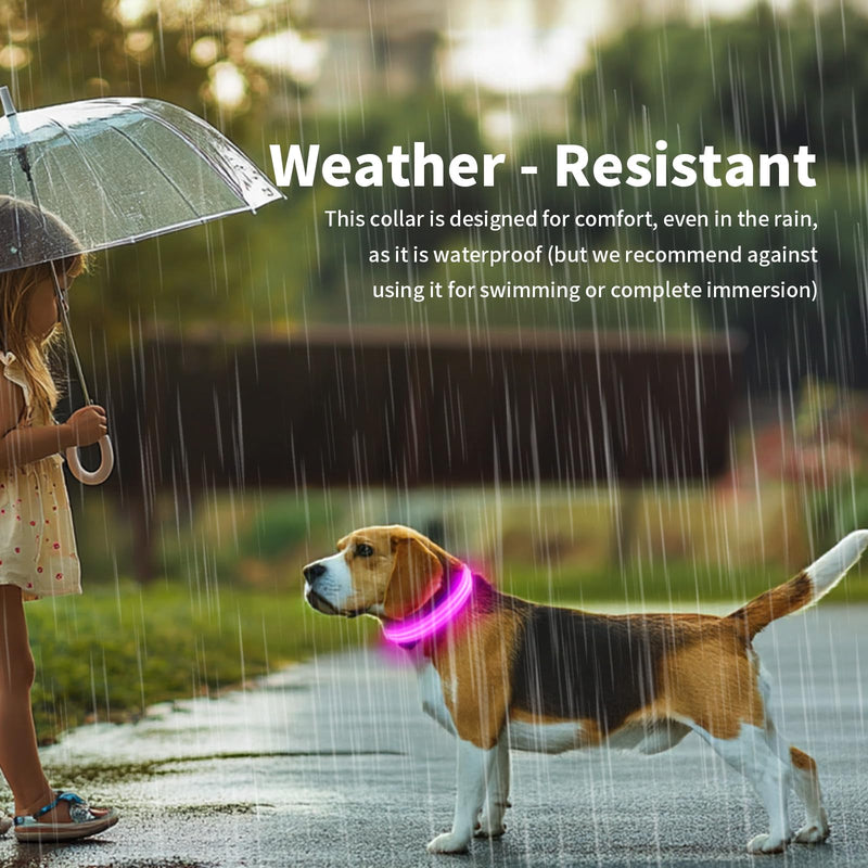 PcEoTllar Light Up Dog Collar USB Rechargeable - LED Collar for Dogs Dog Collar Waterproof Luminous Adjustable Size, 3 Modes, Light Up Collar for Night Safety Small and Medium Large Dogs Pink S(28-40cm/11-15.7inch) - BeesActive Australia