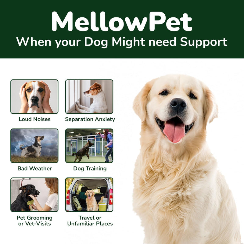 MellowPet – Calming Supplement for Dogs 120ml | Stress, Anxiety & Barking Relief for Travel & Separation | With Valerian & Ashwagandha – Salmon Flavour