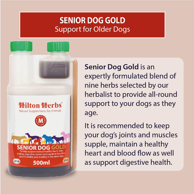Hilton Herbs Senior Dog Gold Natural Supplement. 100% Natural Ingredients. Supplement for Older Dogs. For Dogs with Stiff Joints, Hip Issues and the Heart. With Devil’s Claw and Hawthorn. 250 ml