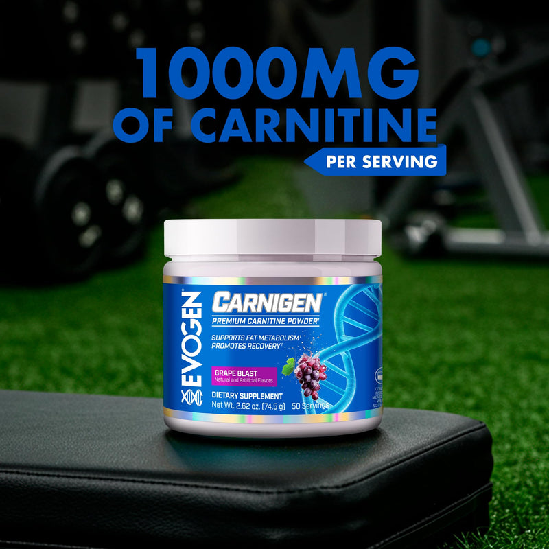 Evogen Carnigen Supports Energy and Metabolism | Grape | 50 Servings | Stimulant-free L-carnitine, acetyl L-carnitine and L-carnitine fumarate with BioPerine, B6 and pantothenic acid