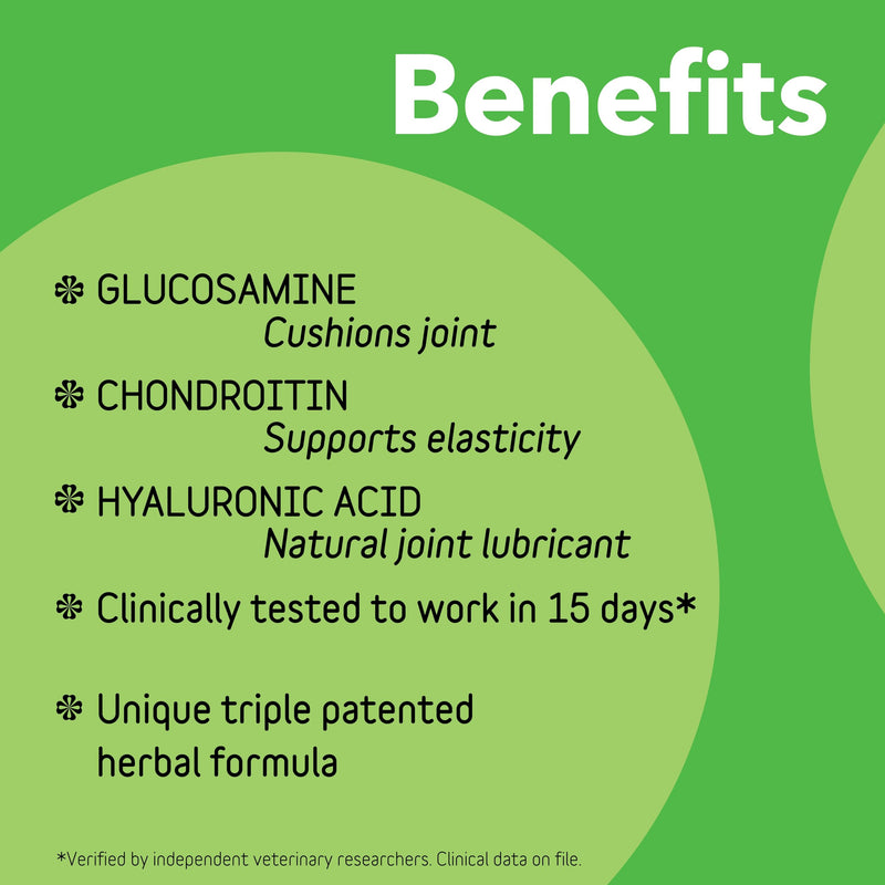 InClover Connectin Hip and Joint Supplement for Dogs. Combines Glucosamine, Chondroitin and Hyaluronic Acid with Herbs for Comfort and Mobility Powder 12oz. - BeesActive Australia