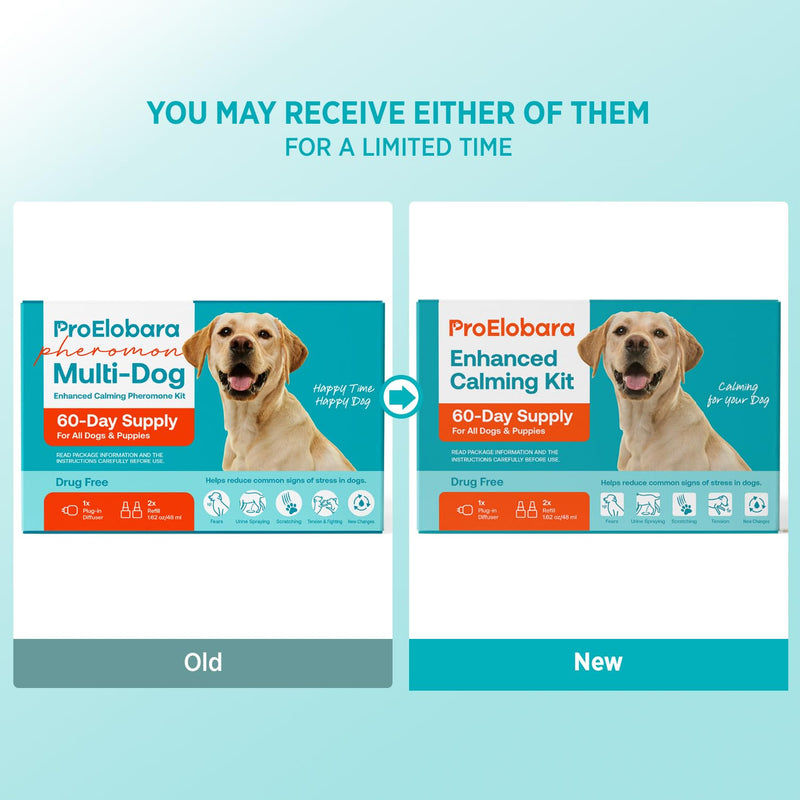 Calming atomizer for dog stress: Pheromone atomizer for dogs against anxiety - Comfort Dog Calm Pheromone Starter for home - lasts for 60 days BlueB - BeesActive Australia