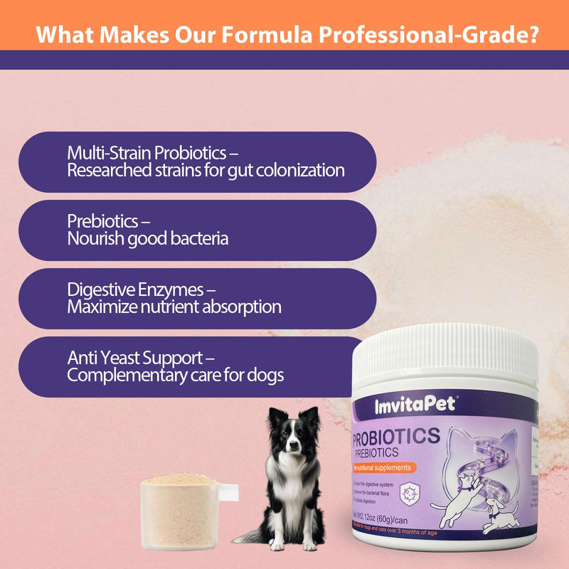 Probiotics for Dogs - Dog Probiotics Powder for Digestive Health, Gut Support, & Immune Boost – Maximum Potency with Digestive Enzymes & Prebiotics - 60Grams 1