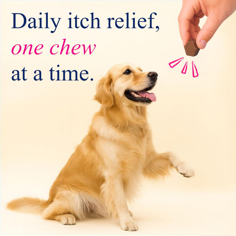 Petroyale Dog Allergy & Itch Support Chews - Dog Allergy Chews for Itchy Skin Relief, Immune Support, Skin & Coat Health - Anti Itch Chews for Dogs, Seasonal Allergy Relief - 50 Soft Chews 50 Chews