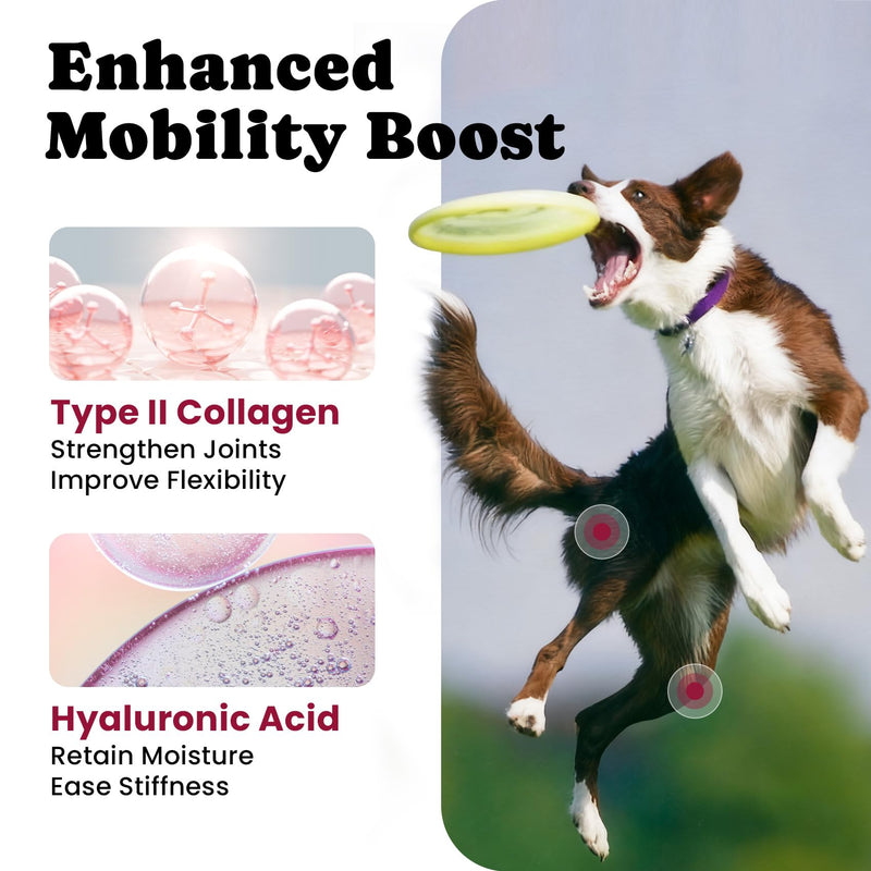 Multi-Pet Joint Support Bundle – Cat Joint Creamy Treats with Dog Joint Soft Chews for Mobility & Comfort