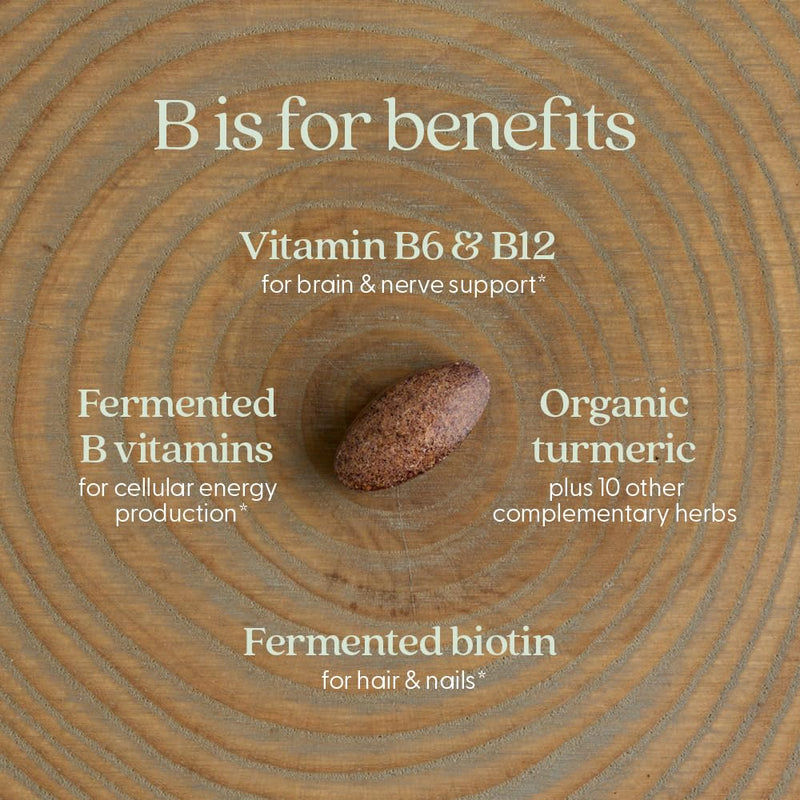 New Chapter Fermented Coenzyme B Complex, 90 Count | Rich in Vitamin B12, Vitamin B6, and Biotin for Energy, Brain, and Beauty Support, with Organic Ingredients, One Daily 90 Count (Pack of 1)