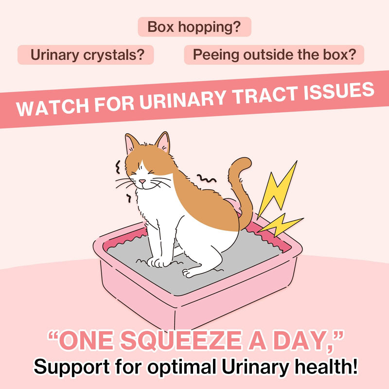 Doctor By UT Care Cat UTI Kidney Support Urinary Supplement Cranberry Treatment for Cats Renal Health with Pacran, Quercetin, Taurine lickable Formula Individually Packaged (1 Pack) 1 Pack
