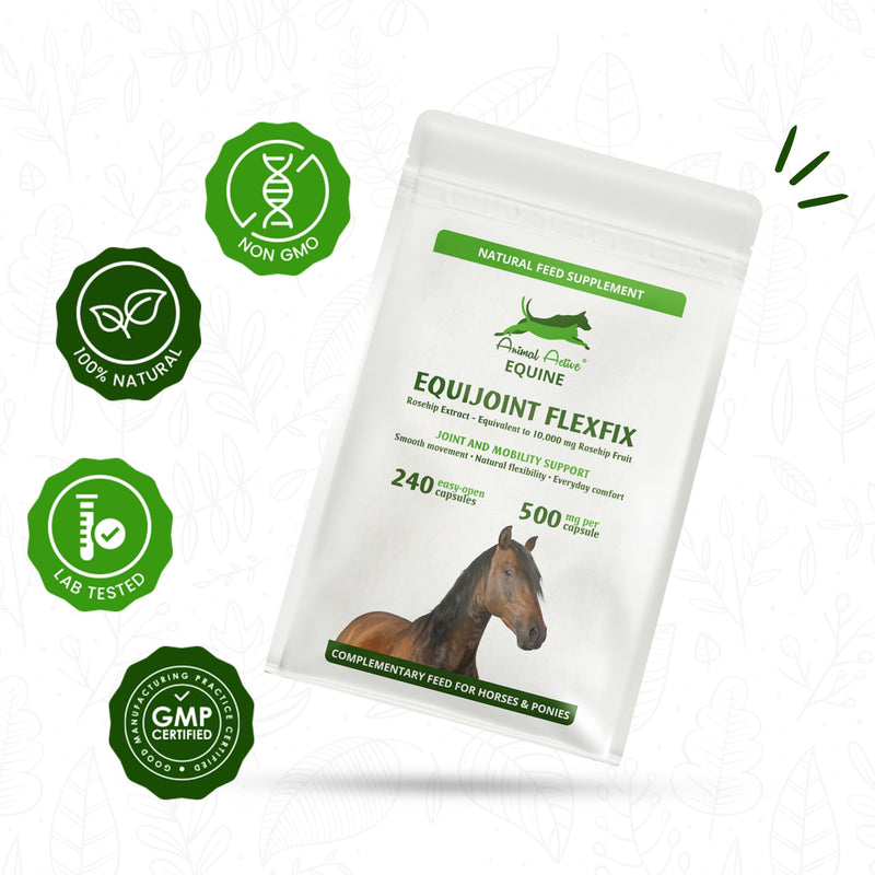 EquiJoint FlexFix for Horses | 240 Easy-Open Capsules - 4 Months Supply | Joint and Mobility Support Supplement for Horses | Combine with Boswellia or Glucosamine | Made in the UK