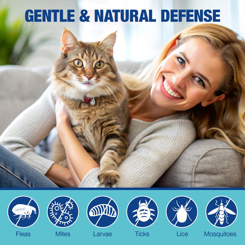 Cats Chewable, Natural Oral Kitten with Vitamins Support Immune Skin & Coat 200 Soft Chews (Chicken)