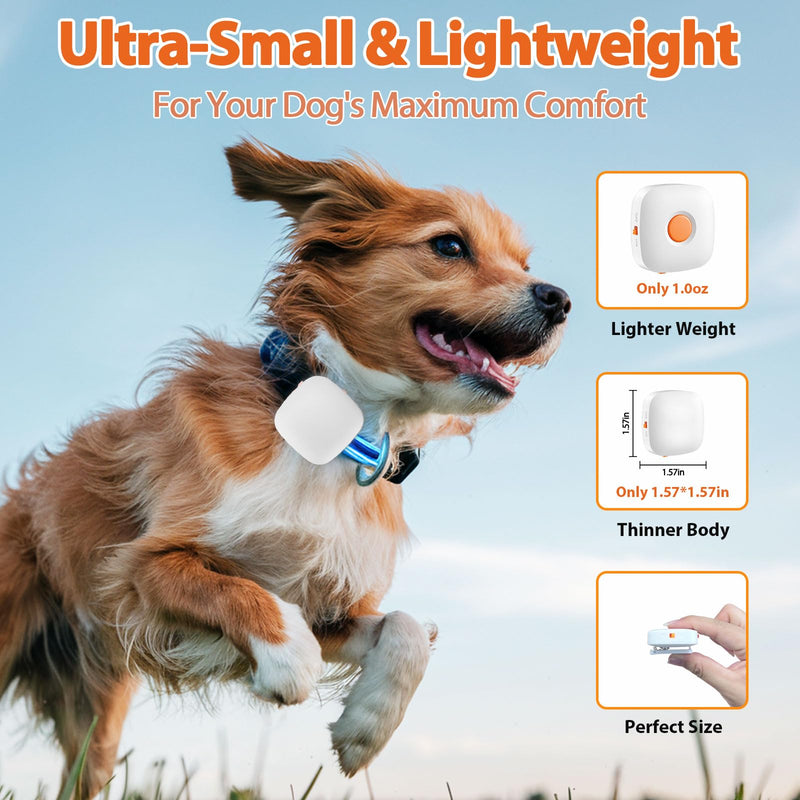 Dog Training Device No Shock, Dog Training Collar Clip with Remote, Safe & Humane Vibrating Dog Clicker, One-Touch Operation, for Beginner Dog Trainer for 5-15 lbs Small Medium Large Dogs - BeesActive Australia