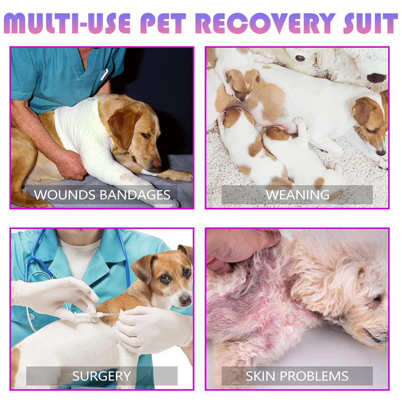 TYXHXTF Dog bodysuit after surgery castration, recovery suit for dogs, dog bodysuit after castration male dog, wound protection suits for dogs, dog bodysuit after surgery bitch, body suit after surgery dog, pink L - BeesActive Australia