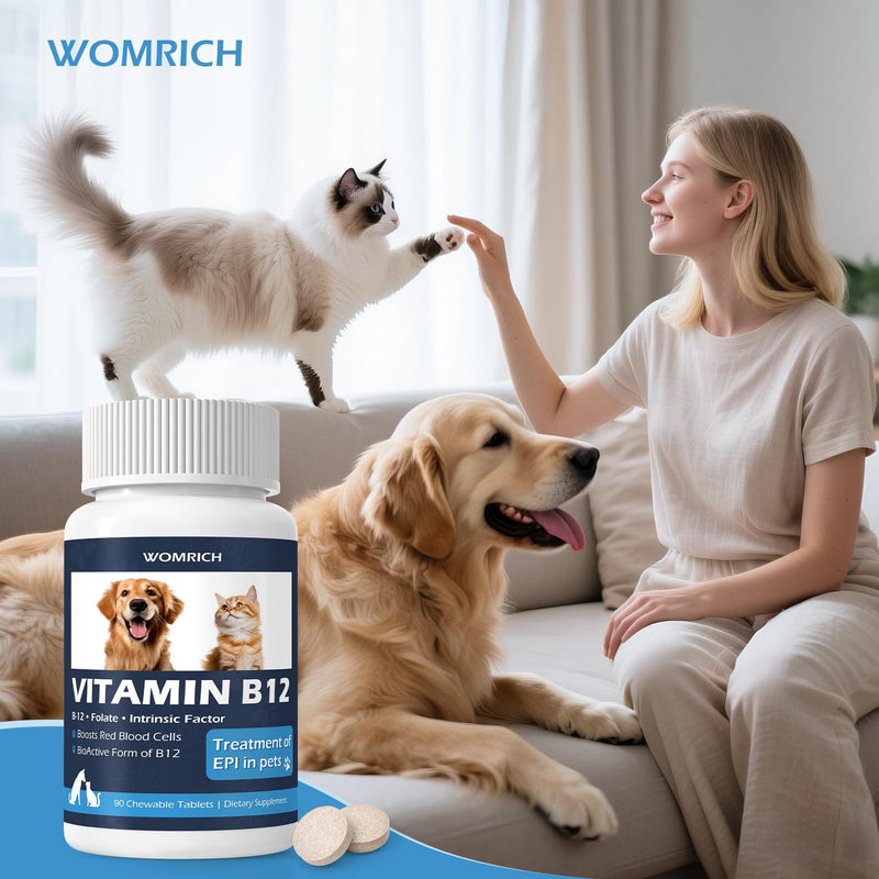 Appetite Stimulant for Cats and Dogs Vitamin B12 Tablets - Methylcobalamin B12 - Appetite Stimulant Treatment of EPI in Pets Supports Energy, Red Blood Cell Formation, Nervous System - 90 Tablets