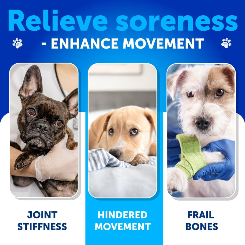 Glucosamine for Dogs - Hip and Joint Supplement for Dogs with Arthritis - Chews with Chondroitin, Hemp Oil, MSM - Canine Joint Pain Relief Health - Mobility Support for Large Breeds - 180 Soft Treats 180 Glucosamine Chews
