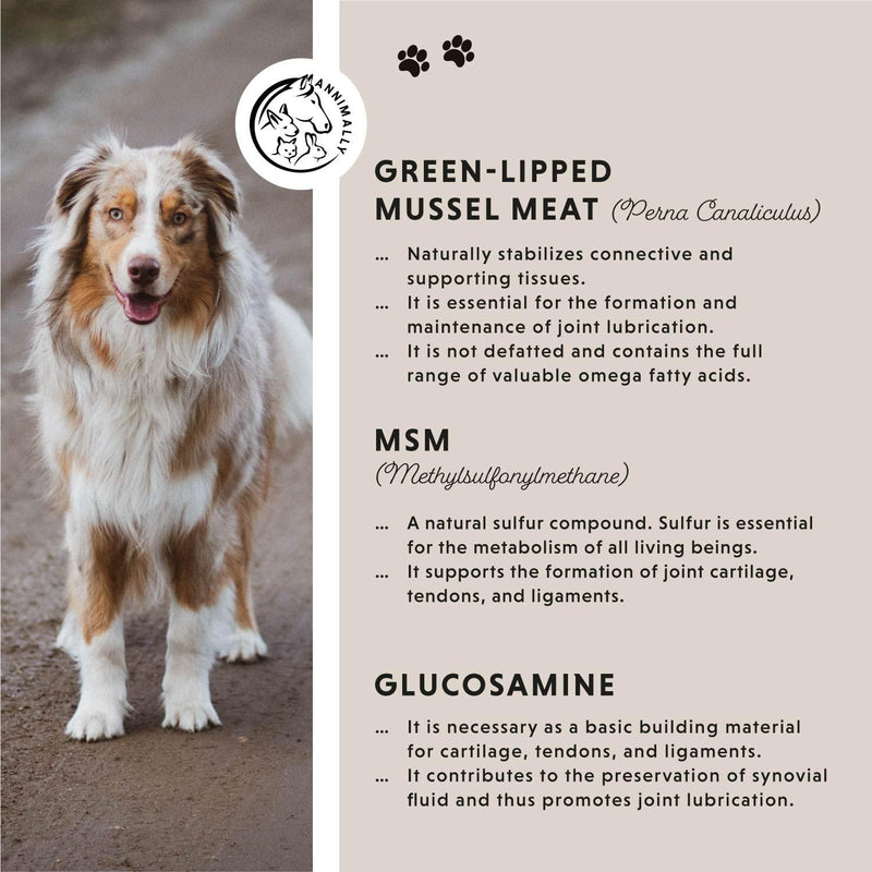 Annimally Joint Tablets with Green Lipped Mussel for Dogs 120 pcs. - Supplement for All Breeds with Glucosamine, Chondroitin, Vitamin B6 & MSM, Made in Germany