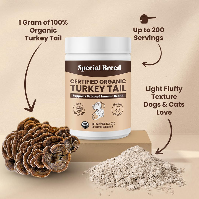 Special Breed Turkey Tail Mushroom for Dogs and Cats - Certified Organic Turkey Tail Powder, Canine Immune Support, 200 Grams - PawsPlanet Australia