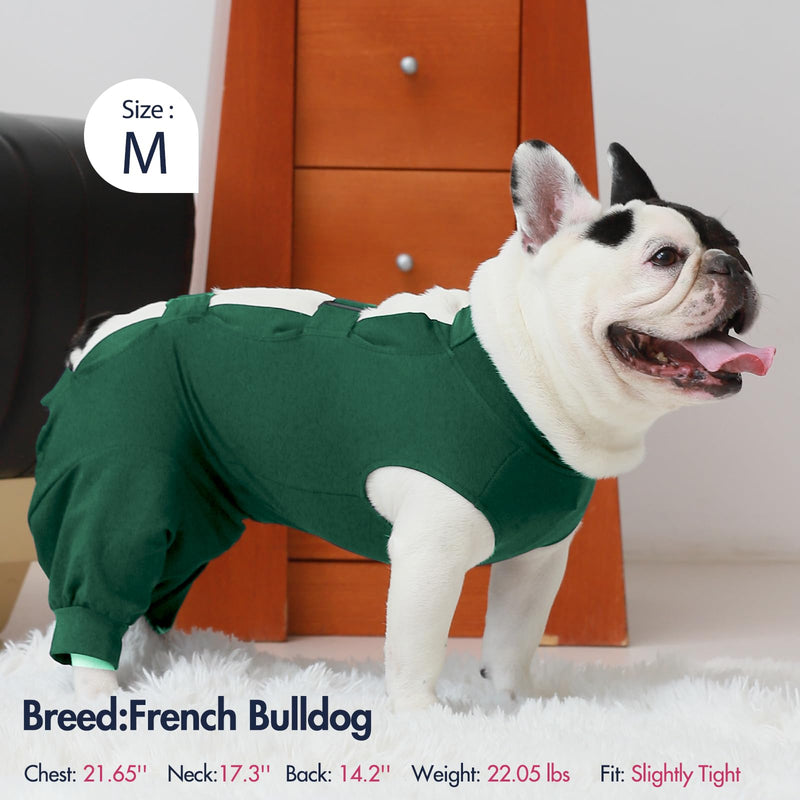 IECOii Dog bodysuit after castration male dogs, breathable bodysuit for dogs after surgery for surgical abdominal wounds and skin protection, e-collar alternative after dog body surgery, large-green large (chest: 22.8-27.2 in) green - BeesActive Australia