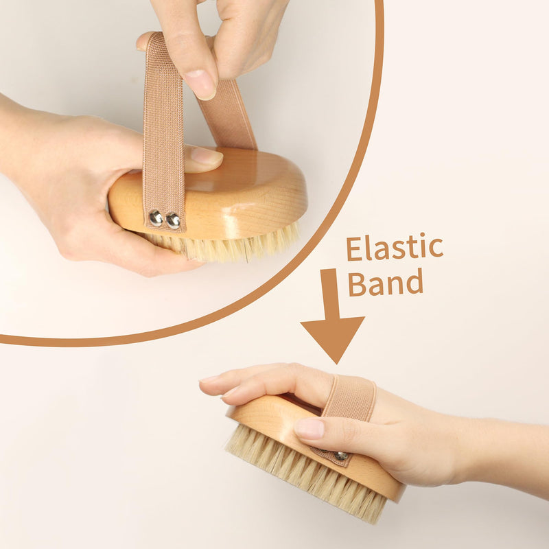 Soft Bristle Pet Brush - Natural Bristle Palm Brush for Short Haired Cats and Dogs with Elastic Band - BeesActive Australia