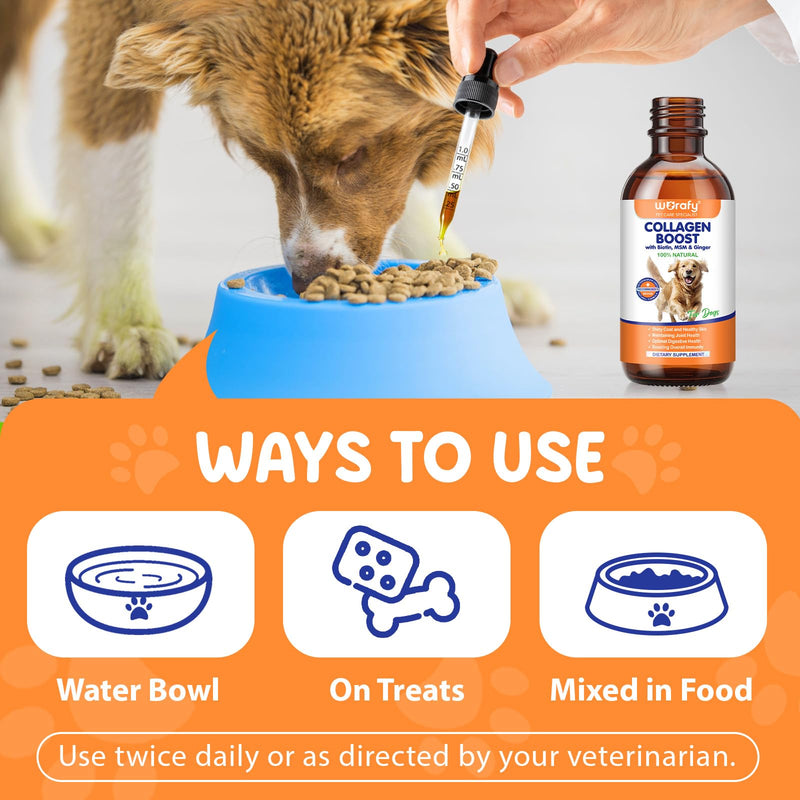Liquid Collagen Supplement for Dogs – with Biotin, MSM & Ginger – Supports Joint Health, Skin & Coat, Digestion & Immunity – 2 fl oz (60 ml)