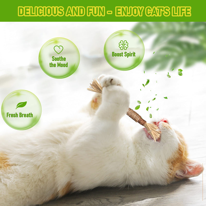 BAWAN Catnip Toys‖ Silvervine for Cats: Cute Cat & Kitten Toys for Indoor Cats Interactive‖ Cat & Kitten Teething Chew Toys for Aggressive Chewers‖ Silvervine Sticks Cat Dental Toy (3PCS) 3PCS - BeesActive Australia