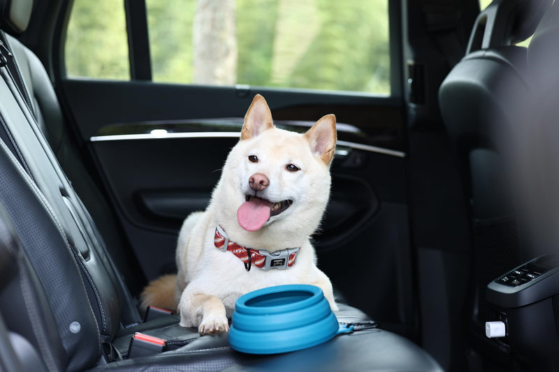 OHMO-Collapsible Dog Water Bowl Anti Tip Over No Spill from Car Movement(24oz Medium, Peacock Blue), Travel Dog Bowls, Less Splash Portable Pet Bowl for Road Trip, Cat Travel Accessories 24oz - BeesActive Australia