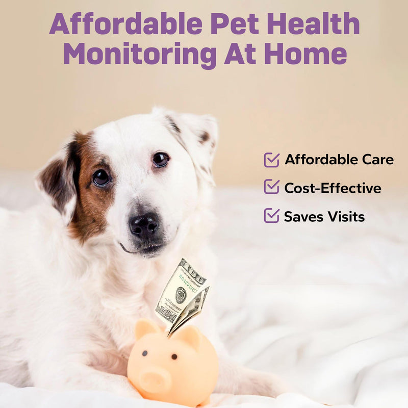 One Step Pet Urine Testing Strips, 5 x 10 Parameter Urinalysis Test Strips, Urine pH Test Strips for Dogs, Cats, Accurate Testing for UTI, Bladder & More, Pet Glucose Monitoring Kit