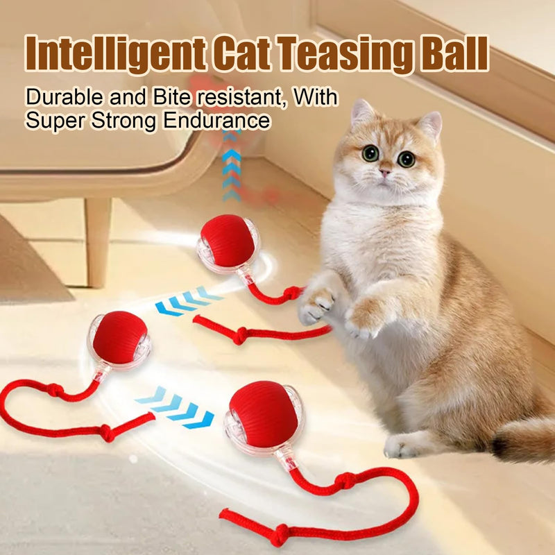 2PC Interactive Rolling Dog Ball,Interactive Dog Ball,Interactive Cat Ball Toy,Interactive Cat Dog Toys Ball Fast Rolling,360° Smart Automatic Rolling Pet Ball (Green) 2PC Green