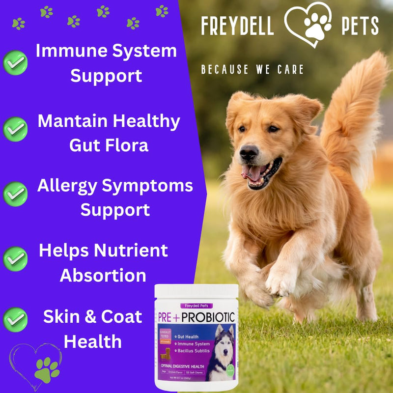Freydell Pets Dog Probiotics + Hip & Joint Support Bundle – Pre + Probiotics for Digestive & Gut Health with Glucosamine Joint Support Soft Chews – Mobility, Cartilage, Immune Support & Overall Dog We