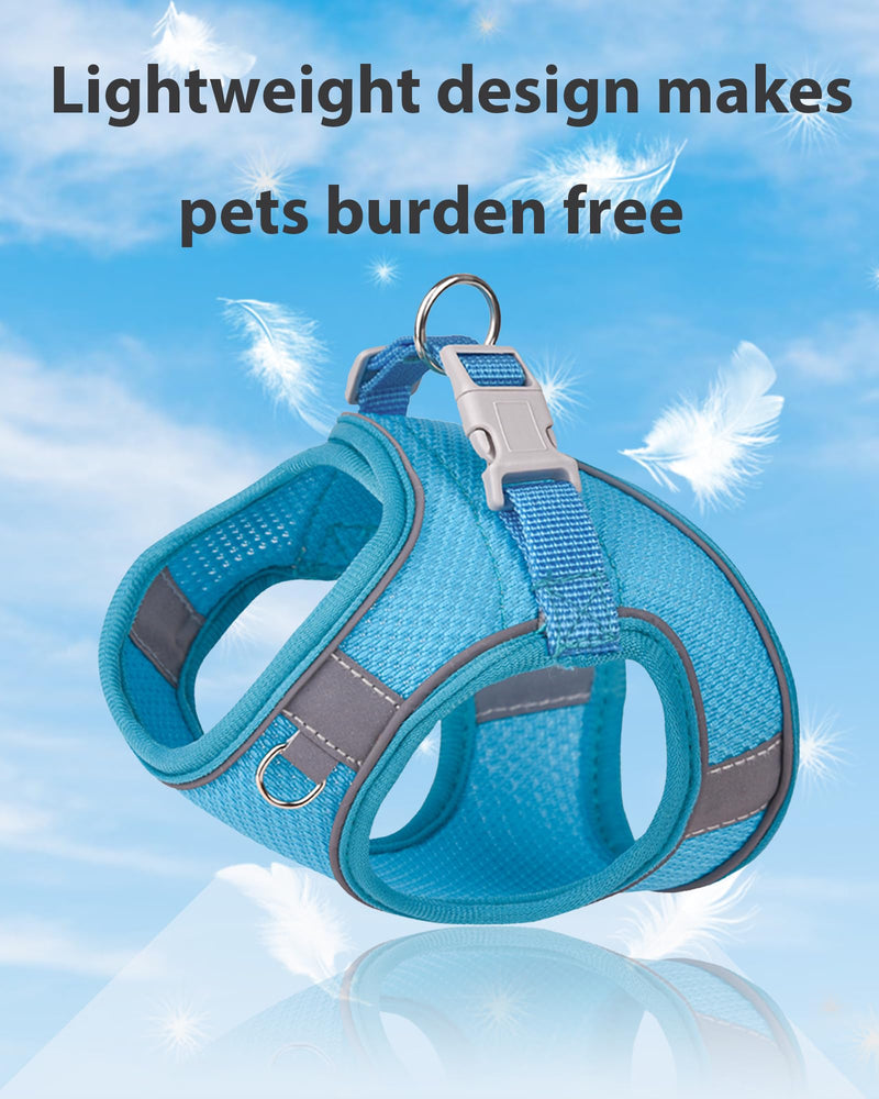 Dog Harness for Small Medium Sized Dog, Puppy Harness and Leash Set Training, Dog Harness and Leash Set, Dog Vest Harness, Dog Harness Small Sized Dog, Small Dog Harness. (Blue, XXS) XX-Small Blue - BeesActive Australia