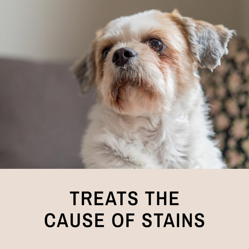 Eye Envy Tear Stain Remover Solution for Dogs|100% Natural,Safe|Recommended by Breeders/Vet/Professional Handlers/Groomers|Contains colloidal Silver|Remove Stains from White/Light Fur,Skin Folds (8oz) 8oz - BeesActive Australia