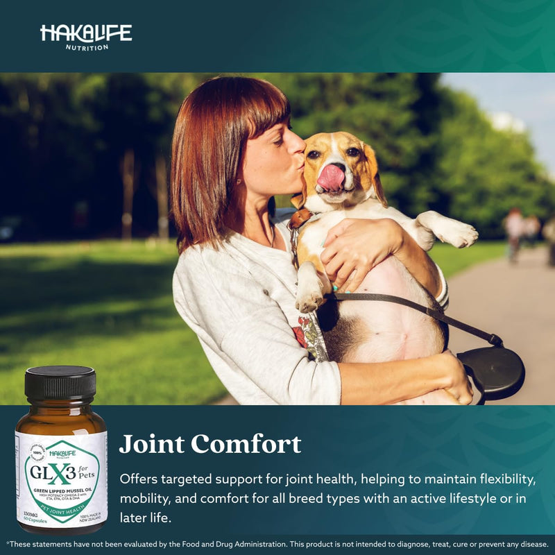 GLX3 Green Lipped Mussel Oil for Dogs | Joint & Hip Comfort Omega-3 Supplement | Ideal for All Dog Breeds and Ages | 1 Month Supply, 60 Soft Chews w/Natural Ingredients 1 pack - PawsPlanet Australia