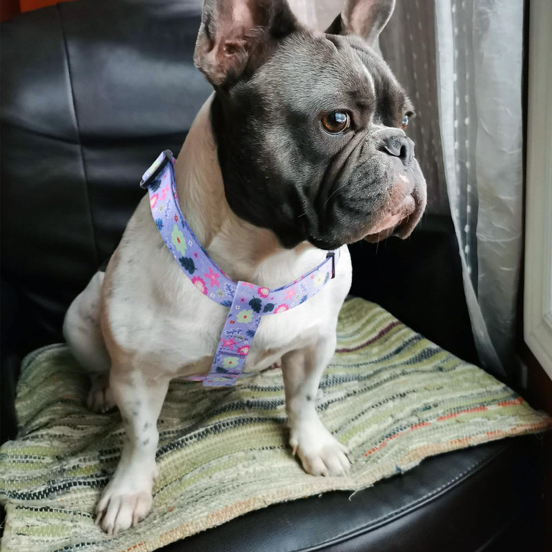 QQPETS Dog Harness Leash Set Adjustable Heavy Duty No Pull Halter Harnesses for Small Medium Large Breed Dogs Back Clip Anti-Twist Perfect for Walking L(23"-32" Chest Girth) Floral Purple - BeesActive Australia