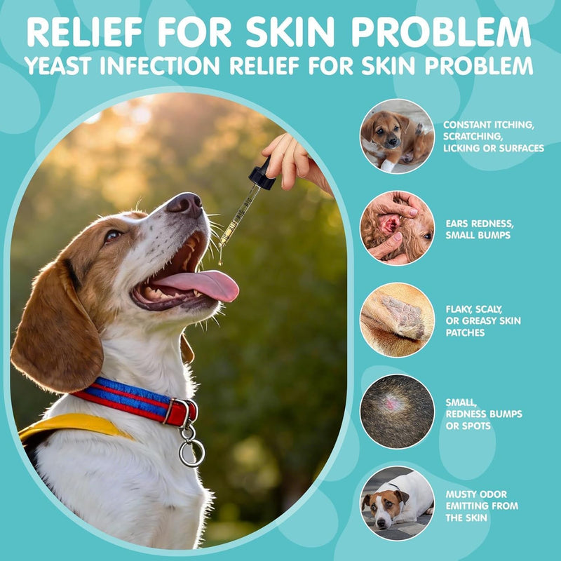 Carmelie Natural Yeast Relief for Dogs, Support Healthy Itch Relief, Ear Paw Discomfort Care, Itch Relief for Dog, Allergy Supports, Inflammation Relief for Dogs, 60ml Bacon Flavor 1PC