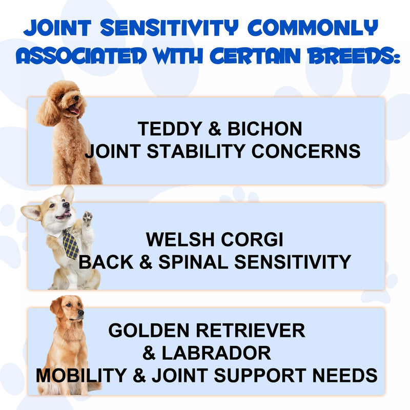 Dog Joint Aid & Relief Supplement, Liquid Supplement to Promote Healthy Joints, Cartilage & Mobility, Hip and Joint Supplements, Relieves Joint Pain for Dogs, 60ml