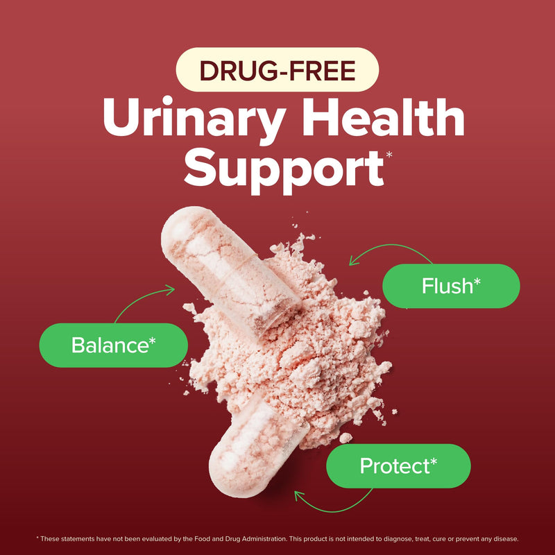 D Mannose with Cranberry | Drug-Free Urinary Tract Health Support | Evidence-Based DMannose 1300mg for Urinary & Bladder Health for Women | D Mannose Supplements for Women & Men | Non-GMO | 240 Ct - BeesActive Australia