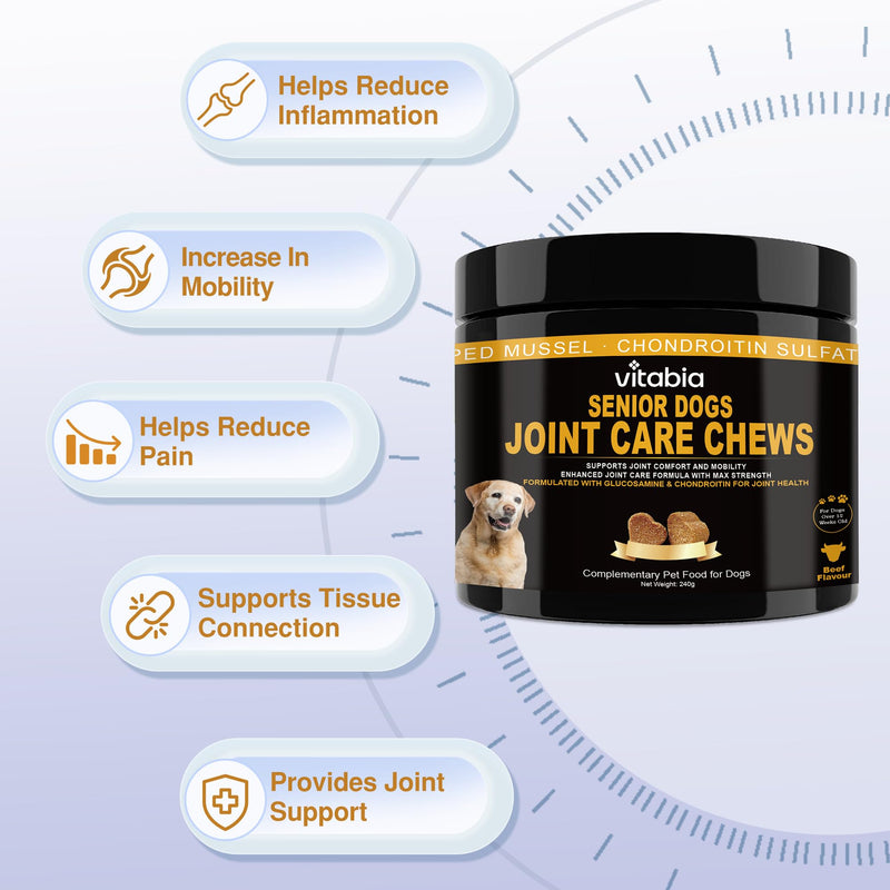 Senior Dog Joint Supplements with Glucosamine Chondroitin MSM - Hip & Joint Support for Dogs with Green Lipped Mussel, Turmeric, Omega 3 for Mobility & Comfort - Beef Flavour Dog Supplements Beef Flavour (120 Count)