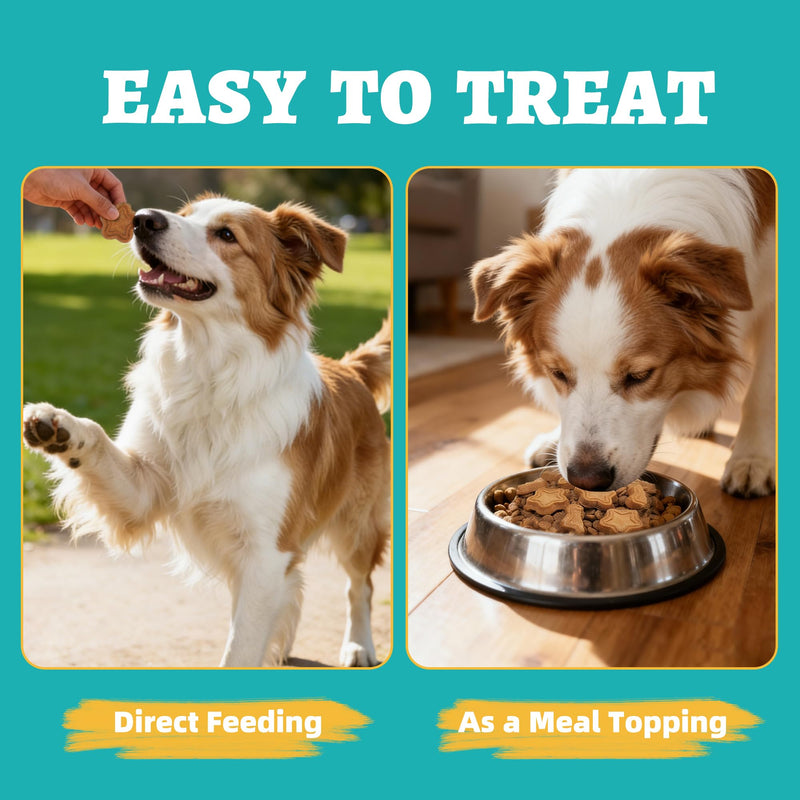 Just Try 15 OZ Green-Lipped Mussel Dog Treats Biscuits Hip & Joint Support for Dogs Training Treats Healthy Dog Treats