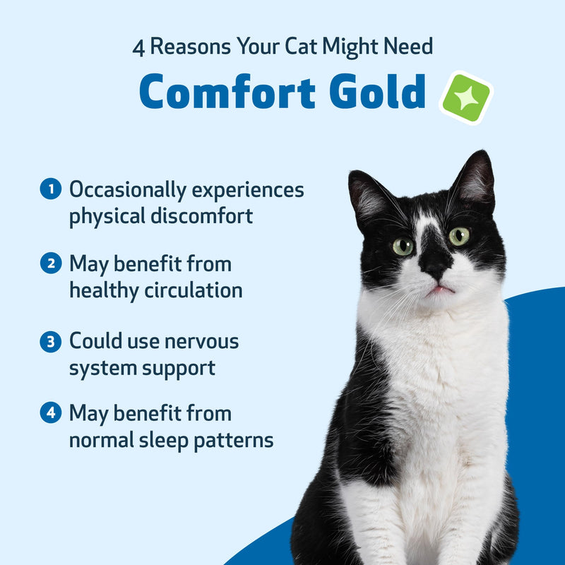 Pet Wellbeing Comfort Gold for Cats - Supports Feline Physical Comfort, Healthy Circulation, Corydalis, Turmeric - Veterinarian-Formulated Herbal Supplement 2 oz (59 ml) 2 fl oz (59 ml) - BeesActive Australia