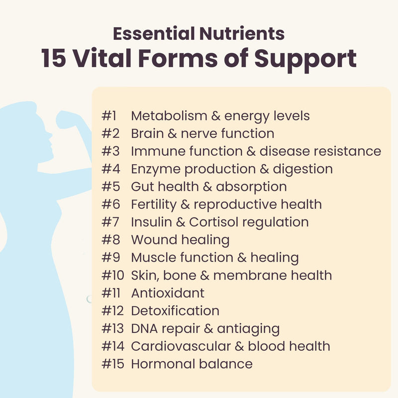 Women's Health Network Essential Nutrients, Methylated Multivitamin for Women with Quatrefolic 5-MTHF, Essential Vitamins for Women, 180 Capsules