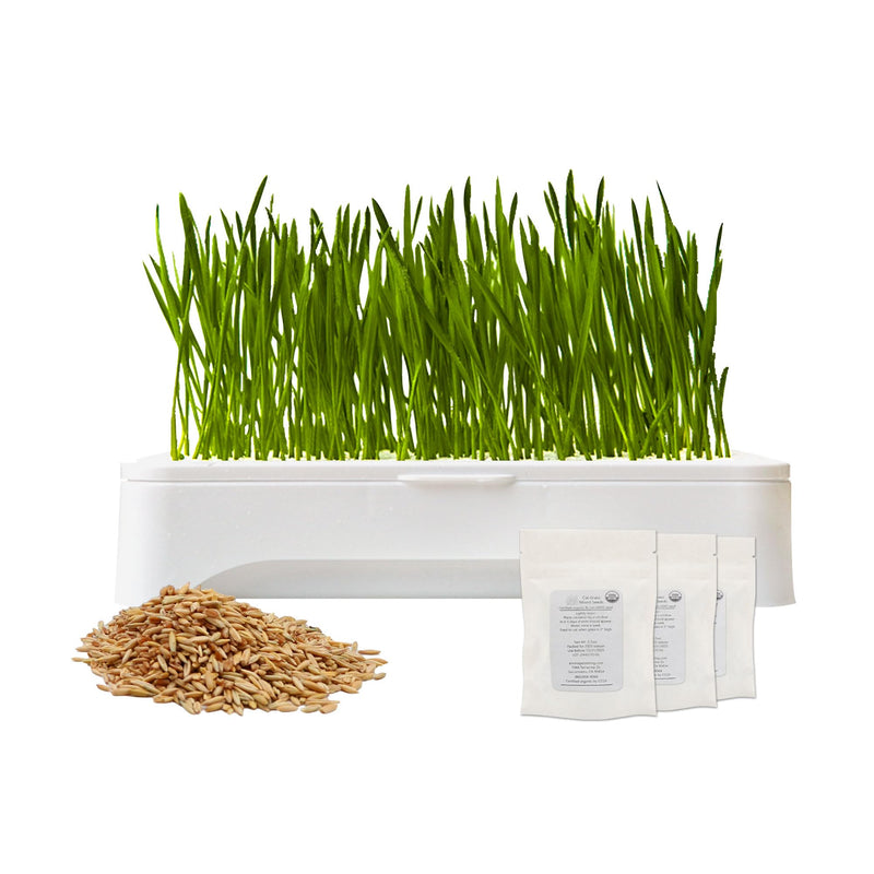 The Environet Cat Grass for Indoor Cats, Cat Grass Kit with Organic Seeds Mix and Hydroponic Sprout Tray, 100% Non-GMO, Hairball Control, Digestion Support, Ideal Gift for Cat Lovers