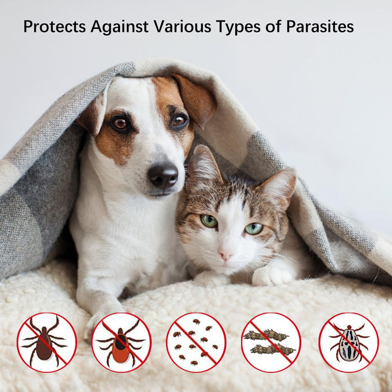 Flea collar for cats, 3 pieces flea collar for dogs, small, tick flea protection collar, tick collar for cats, tick flea collar for cats, flea tick collar for dogs and cats, waterproof and adjustable - BeesActive Australia
