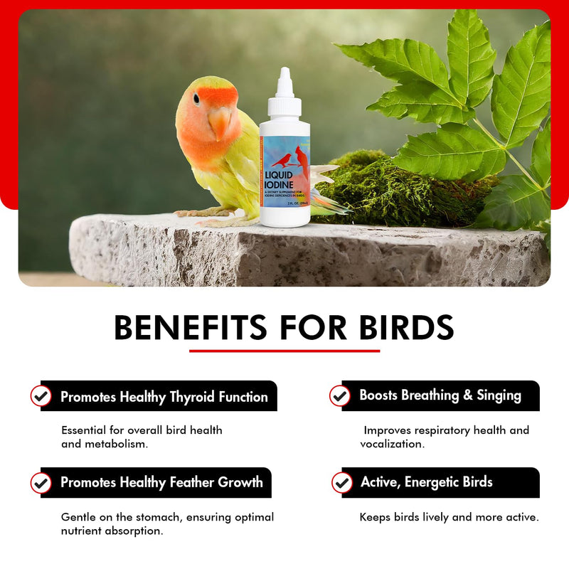 Morning Bird Liquid Iodine for Birds 2 fl oz – Iodine Mineral Supplement – Supports Feather Growth, Molting, Energy & Healthy Thyroid Function – Easy-to-Use Drops