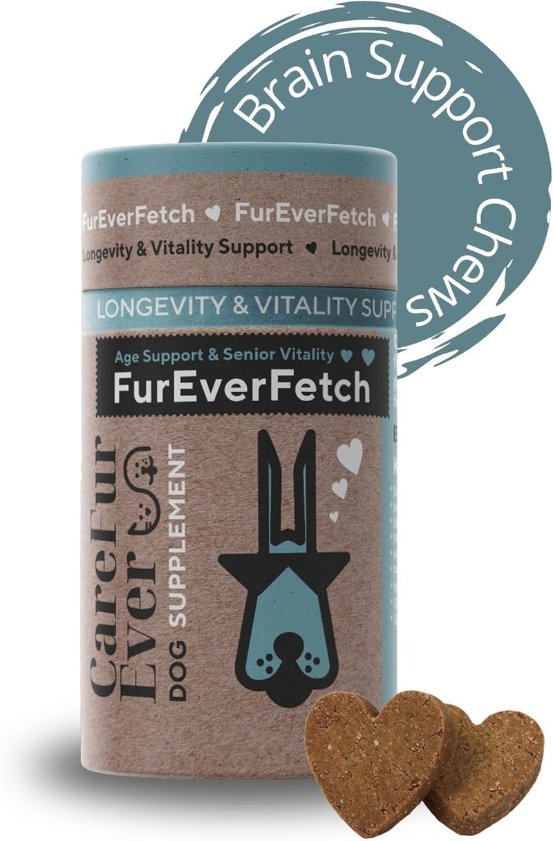 Supplement Treats for Senior Dogs ~ Brain & Vision Support | Slows Cognitive Decline ~ Lion's Mane & Turkey Tail | Memory, Focus & Immune Health | Veterinary-Grade Nootropic Formula | 30 Chews