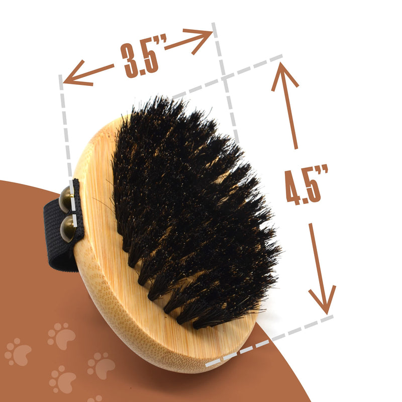 The Buddy System Pet Close Brush, Soft Touch Oval Palm Brush - Bamboo Massage Handheld with Soft Boar Bristles and Elastic Band for Dogs and Cats 1-pack Oval Brush - BeesActive Australia