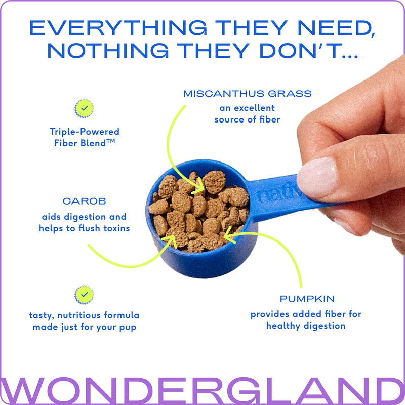 Native Pet WonderGland - Dog Anal Gland Treatment Using Fiber for Dogs - Prevent Scooting for Dogs Anal Gland Supplement Including Dog Gut Health Probiotics for Anal Gland Support - 30 Scoops - BeesActive Australia