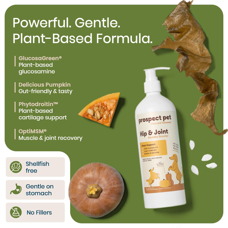 Hip and Joint Supplement for Dogs - Glucosamine with Plant-Based Chondroitin, MSM & Pumpkin - Advanced Joint Relief Dog Supplements for Large & Small Breeds - USA Made 16OZ